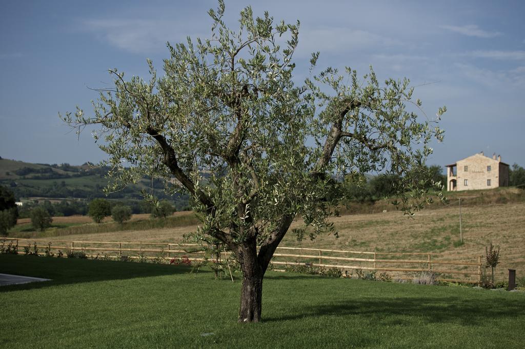 Moresco Agriturismo 外观 照片