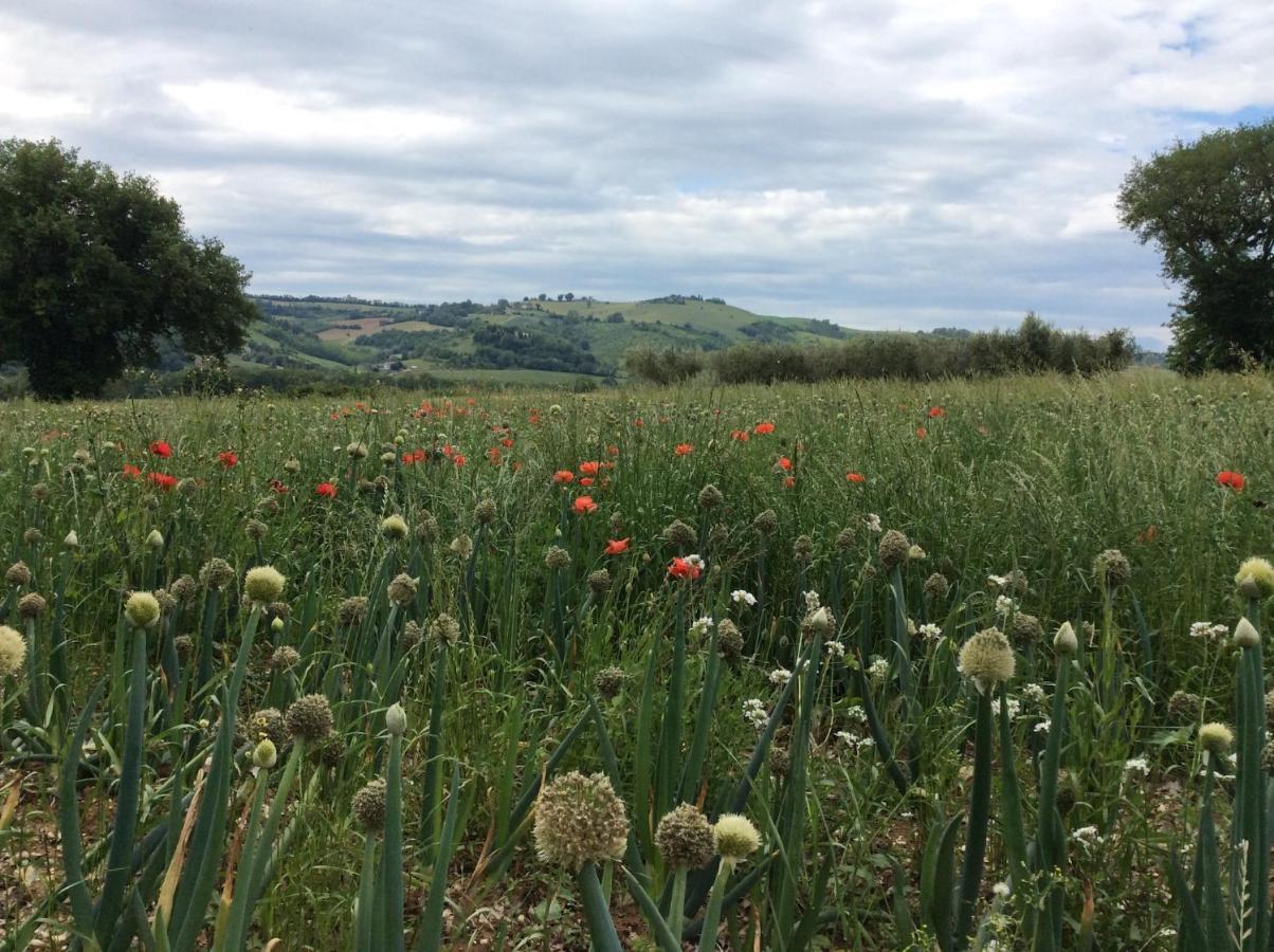 Moresco Agriturismo 外观 照片